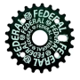 Зірка Federal Logo Solid 25T для BMX